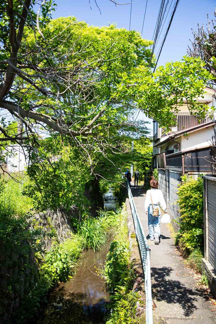 扇川のせせらぎと横須賀線に沿う、心地よい小径。