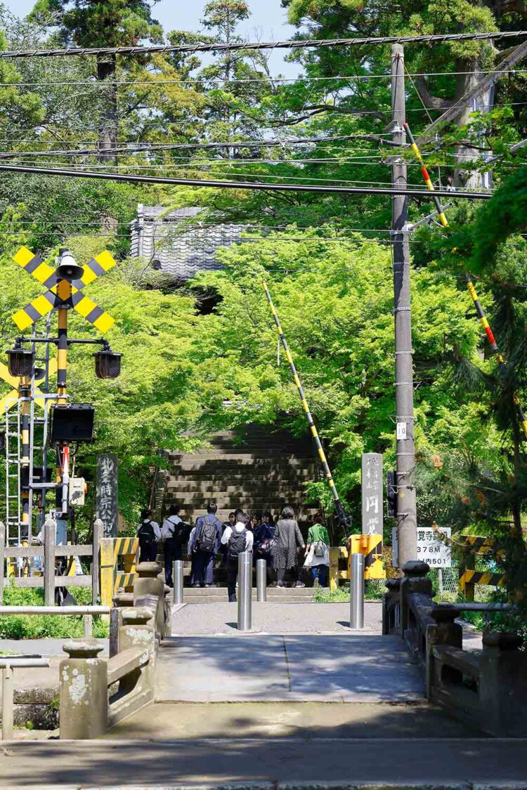 踏切越しにのぞく、学生たちと初夏の気配。