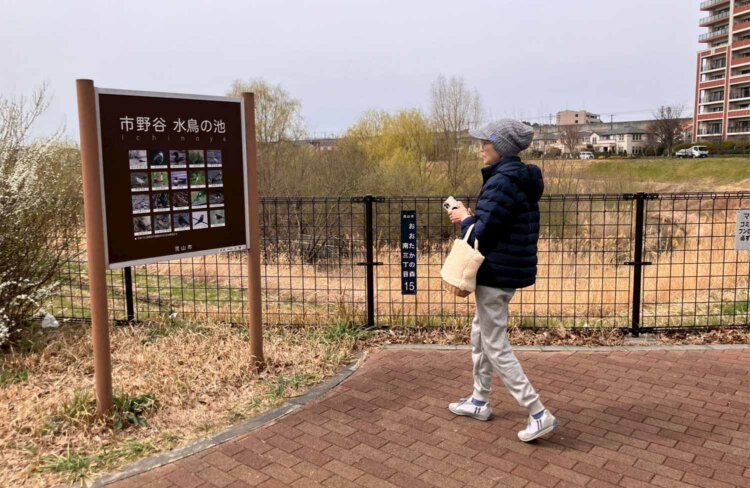 「市野谷 水鳥の池」は立ち入り不可でした。