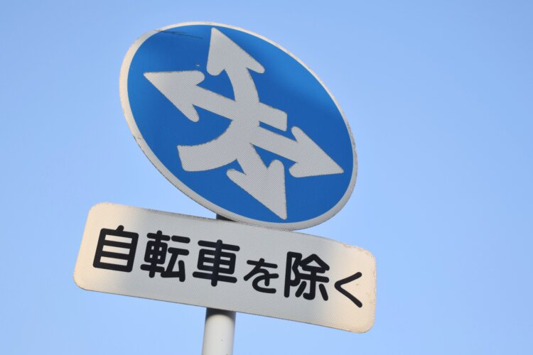 現在地が斜めになっている「基部傾き型」の異形矢印。交差点直前でカーブする場所に稀に出現。