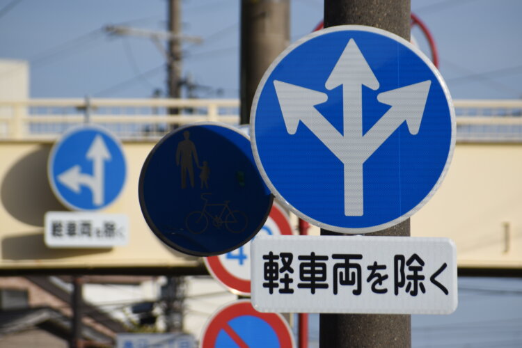 左右対称にまっすぐ伸びた矢印が美しい、「三方開花型」の異形矢印。