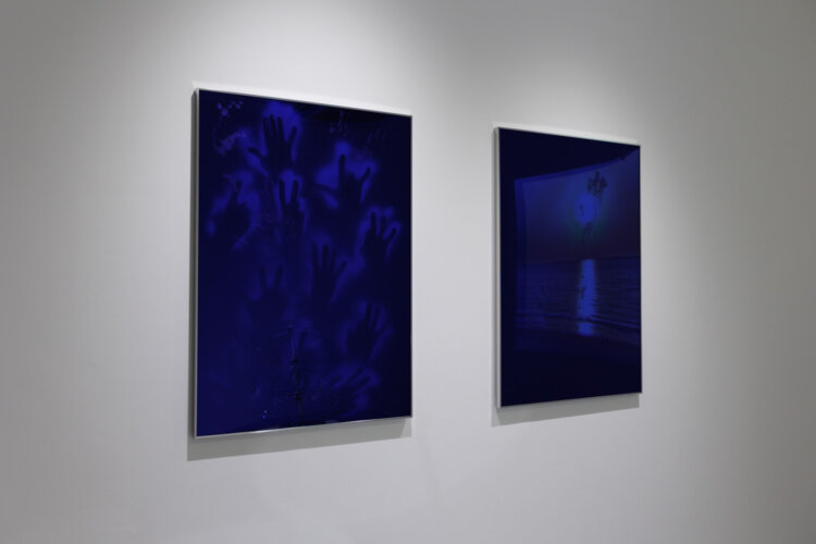 布施琳太郎 「タイムトラベラーのための展覧会」 2026 （C）Rintaro Fuse, Courtesy of SNOW Contemporary。