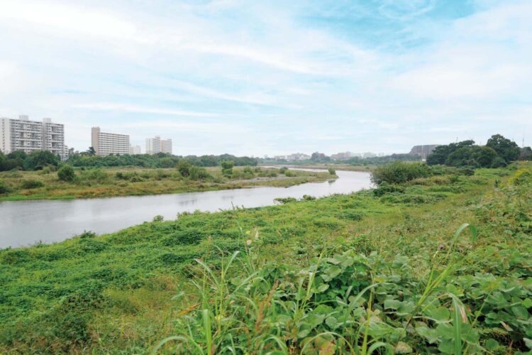 多摩川河川敷