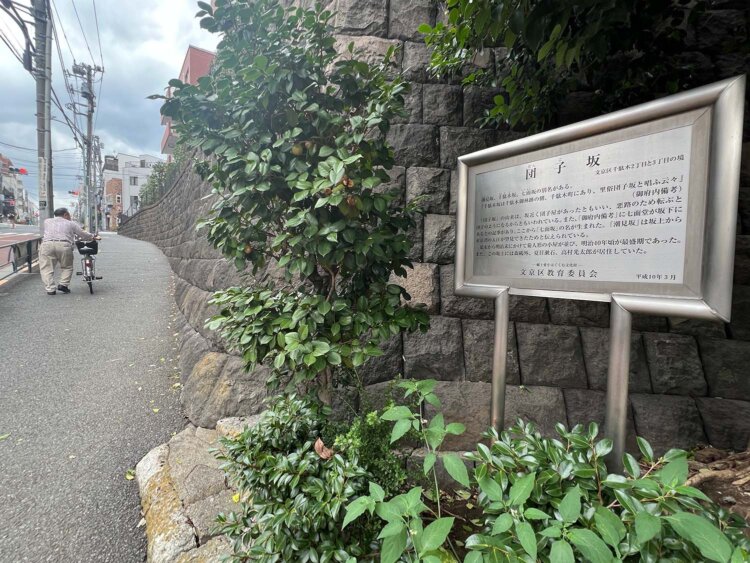 和は看護学校卒業後、団子坂に家を借りて家族と一緒に住み、ここから病院に徒歩で通った。