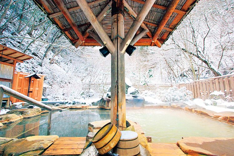 kakumaiwayakan