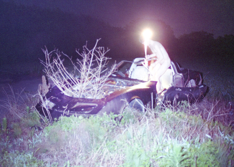 （C）Taisuke Nakano。
