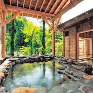 越後長野温泉『嵐渓荘』。本好きな4代目館主が山奥の秘湯で歴史ロマンを伝承する