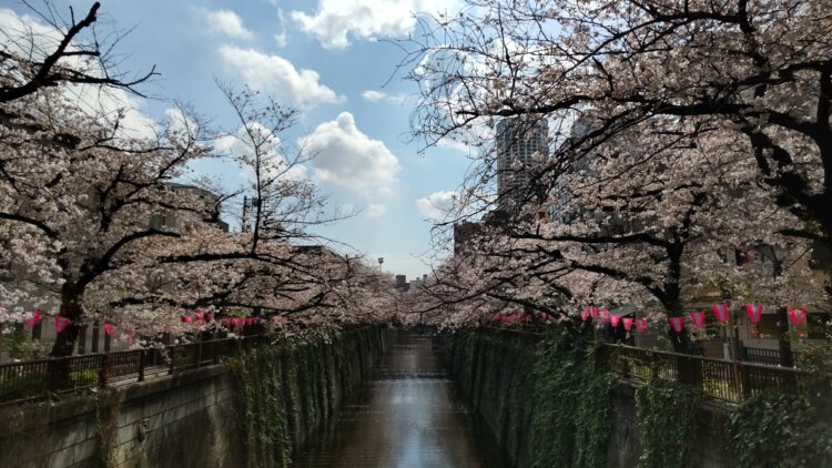 いつもは穏やかに流れる川だが……。