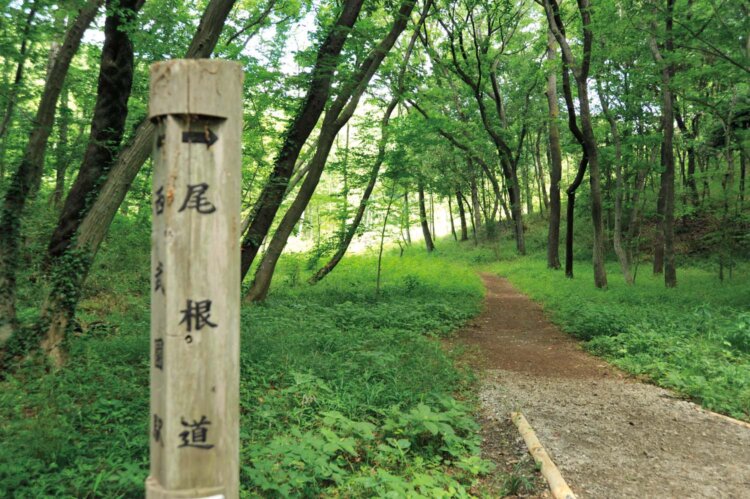 八国山緑地