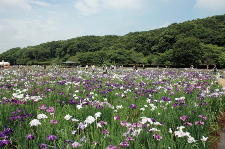北山公園