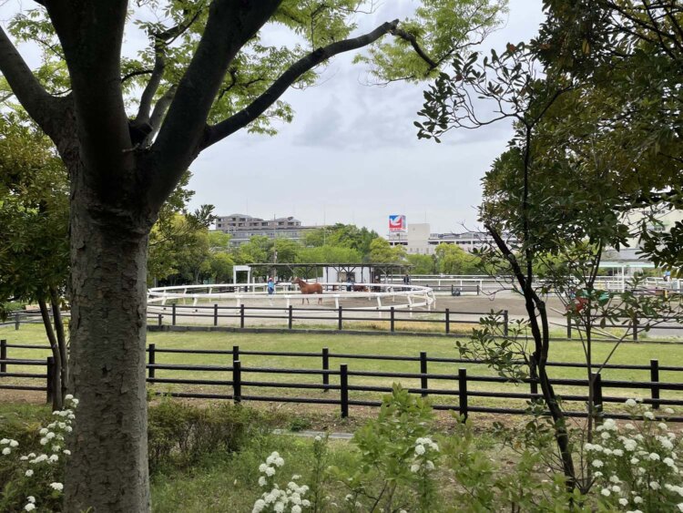 ポニー乗り場。