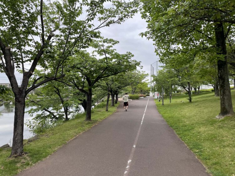 新左近川親水公園（左岸）。