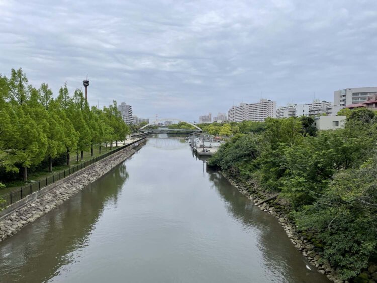 蜆橋から東側、新左近川を望む。右側に見える街並みは全て埋め立て地だ。
