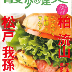 『散歩の達人』2011年3月号「柏・松戸・流山・我孫子」を振り返る【プレイバック30年】