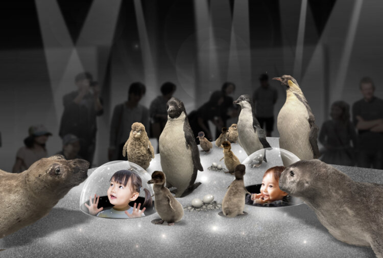観察ドームを通して立体的に観察できるエリア。※画像はイメージです。