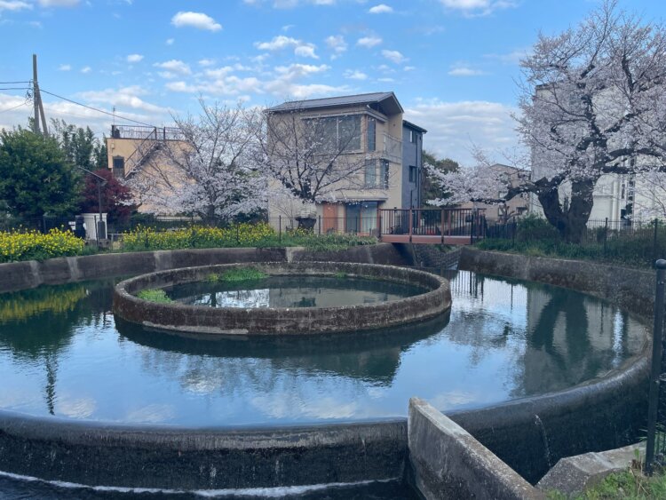 はぎやまもとこさん