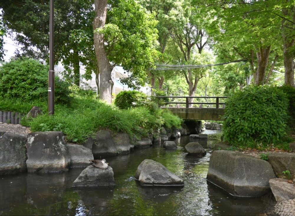 【2026年版】さんたつ読者&編集部おすすめ！関東近郊の「夏に歩きたい水辺」17選
