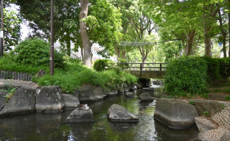 【2026年版】さんたつ読者&編集部おすすめ！関東近郊の「夏に歩きたい水辺」17選