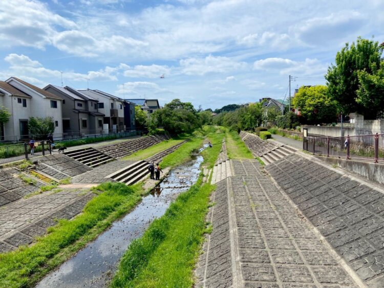 野川　桑原