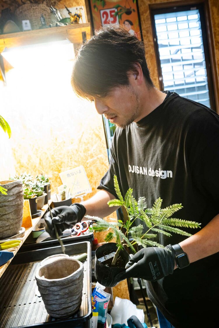 「おうちの植物の手入れもご相談を！」。