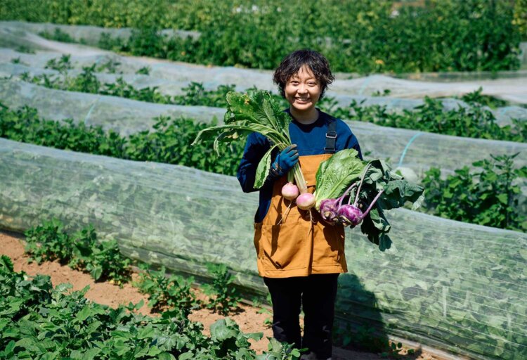 紫色のカブ・ふじ化粧やコールラビなど珍しい野菜も栽培。「畑で野菜をお渡しする畑受け取り便も受け付けています」と髙橋さん。「夏はゴーヤやトウモロコシ、オクラが旬に」。