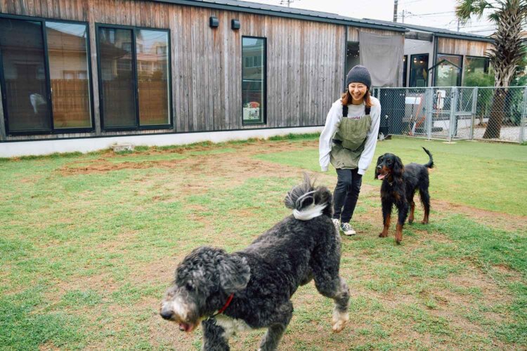 大型犬と小型犬用のドッグランも。