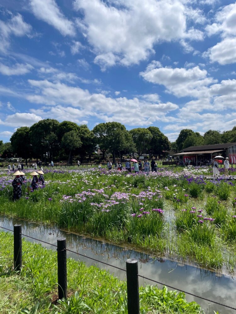 水元公園　とりさん