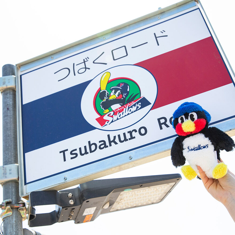 守谷にスワローズがやってくる！ 田園から生まれる夢のベースボールパーク