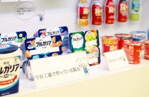 【散歩の達人】はしご工場見学_2