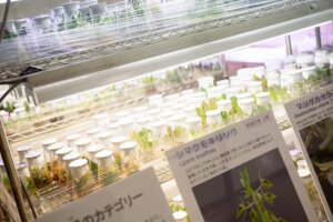 【散歩の達人】つくばサイエンスツアーバス_5