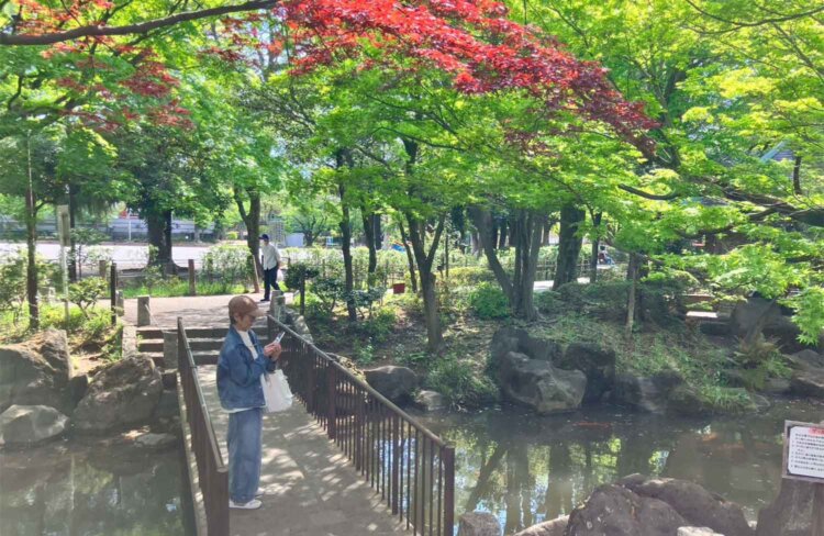 馬橋公園はきれいでした。