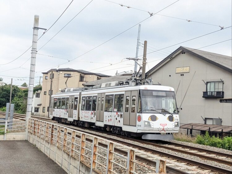 これに乗ると幸せになれると噂の、東急世田谷線の幸福の招き猫電車。車内の内装も必見。