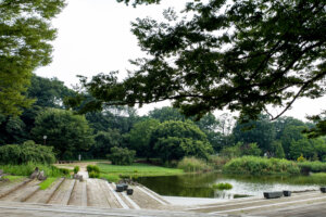 清瀬金山緑地公園