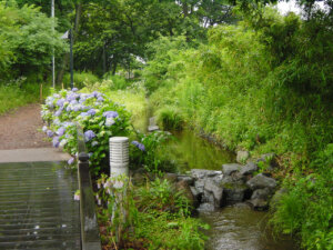 清瀬せせらぎ公園