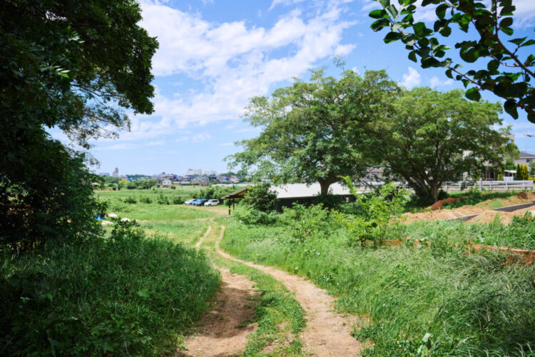 お店が立つ場所は、宅地開発が進んだ地域の中にあるが、もともとの地形やそこに何十年も前からある樹木に配慮を払った開発がなされ、緑豊かな環境が広がる。