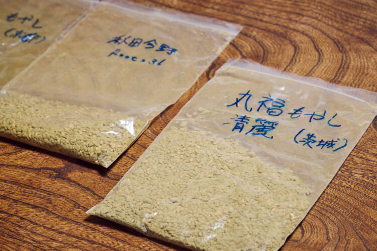 種麹は「もやし」とも呼ばれる。「浦里」で使用する茨城産の丸福もやし（右）。