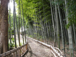 竹林公園