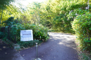 南沢水辺公園