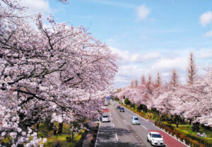 大学通り