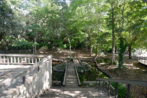 城山公園