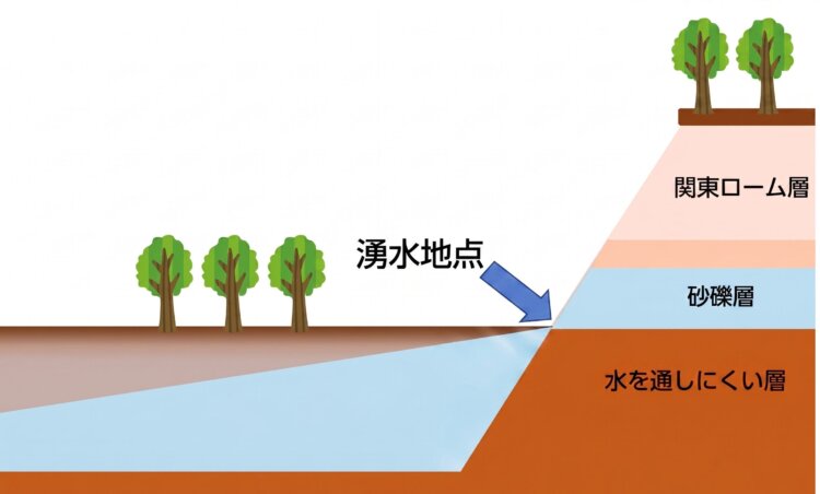 深大寺で湧水が出る理由（作成＝片山美紀）。