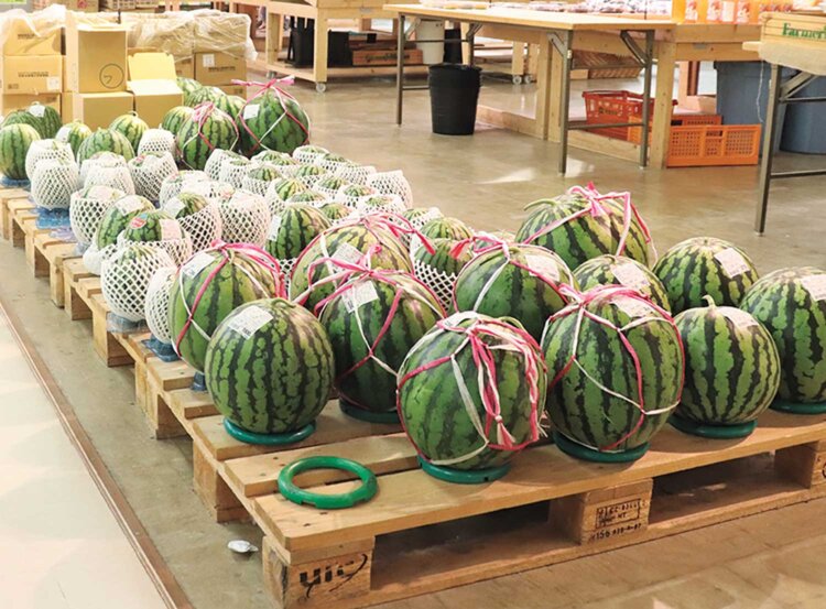 横手市は果物栽培も盛ん。夏は市場のごとくスイカがずらり！