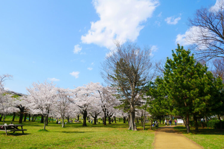 狭山公園
