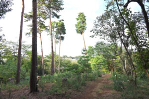 東大和公園2