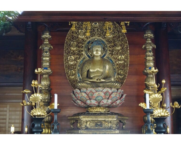 五代将軍徳川綱吉公の養女・竹姫が、厄除けのために発願し寄進した阿弥陀如来像。仏像の意匠としては珍しい葵・牡丹の両御紋があしらわれ、像の胎内には竹姫が書写した１万遍の名号が納められている。
