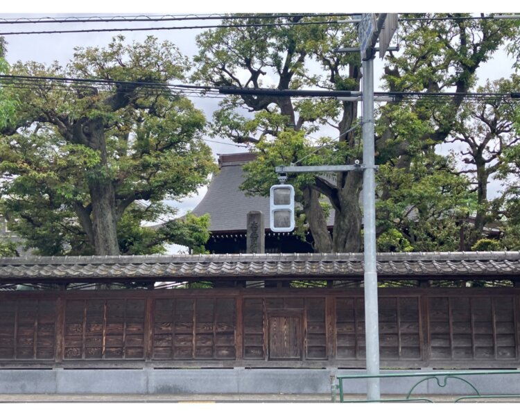 yutenji9_IMG_8269