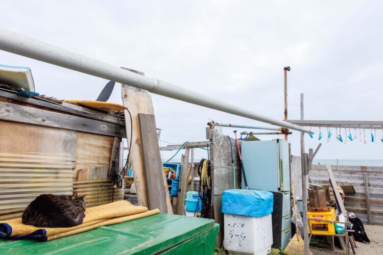 漁師小屋前の作業場。ワカメを干す洗濯ばさみが揺れている。