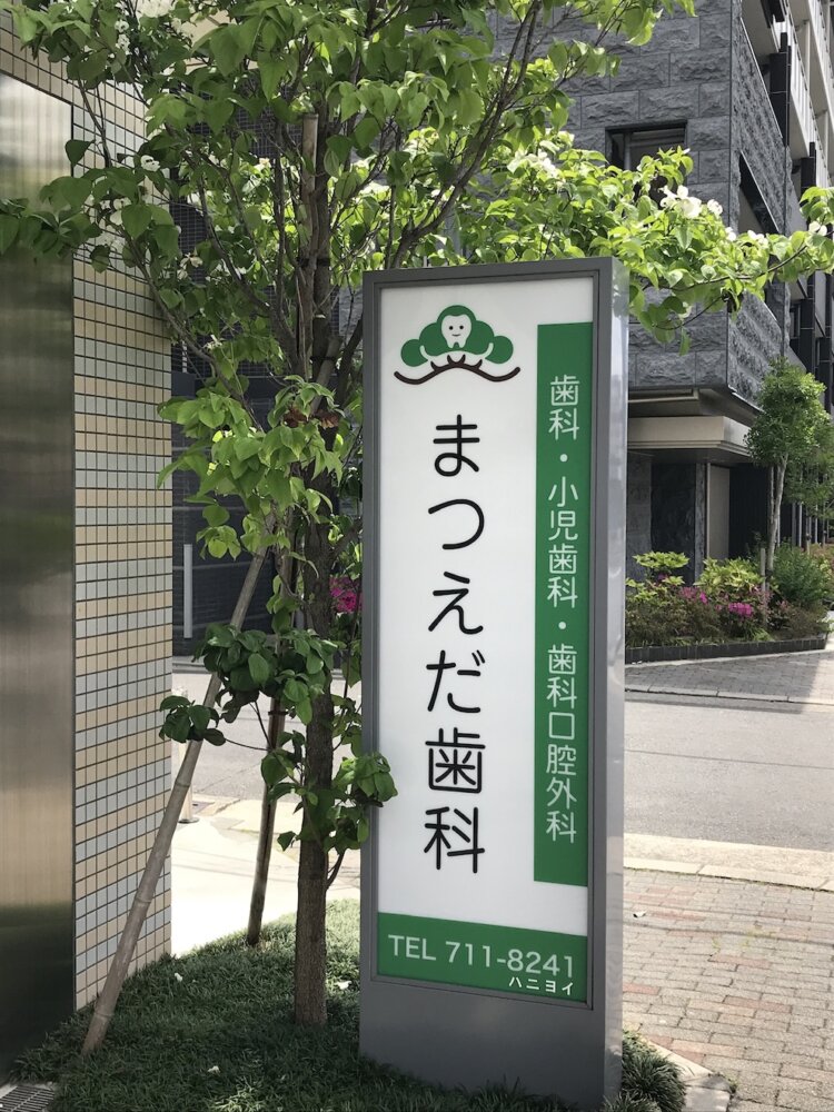 松の葉の中に歯が埋め込まれる。