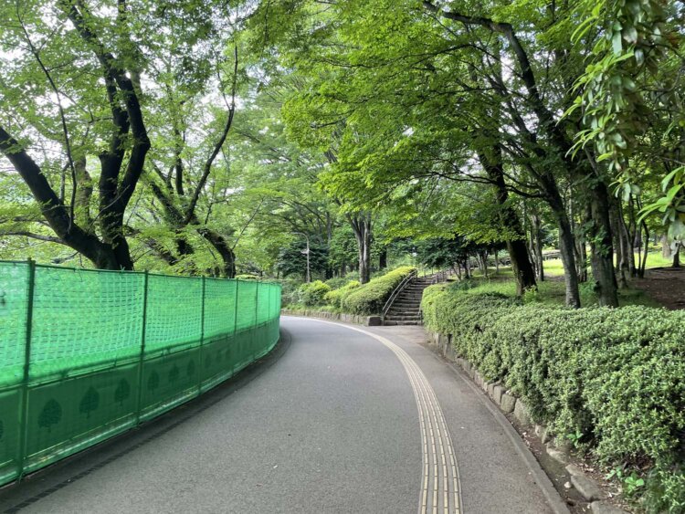 グラウンド改修工事のフェンス。