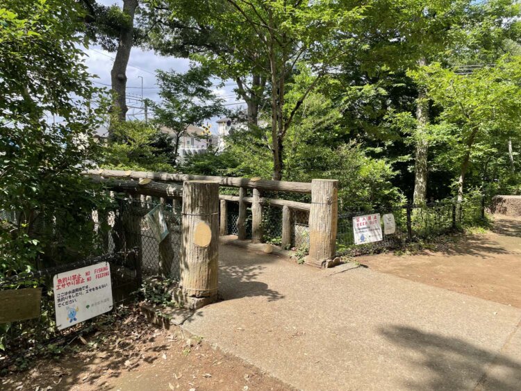 玉川上水に架かるひがしたかのはし。